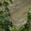 Thumbnail of related posts 130