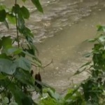 Thumbnail of post image 002